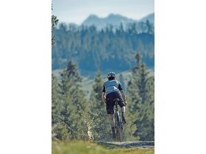 SKS Speedrocker XL 28" skjermsett - Bilde 7