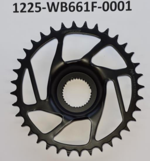 Giant E FSA WB661F 36T PW-X3