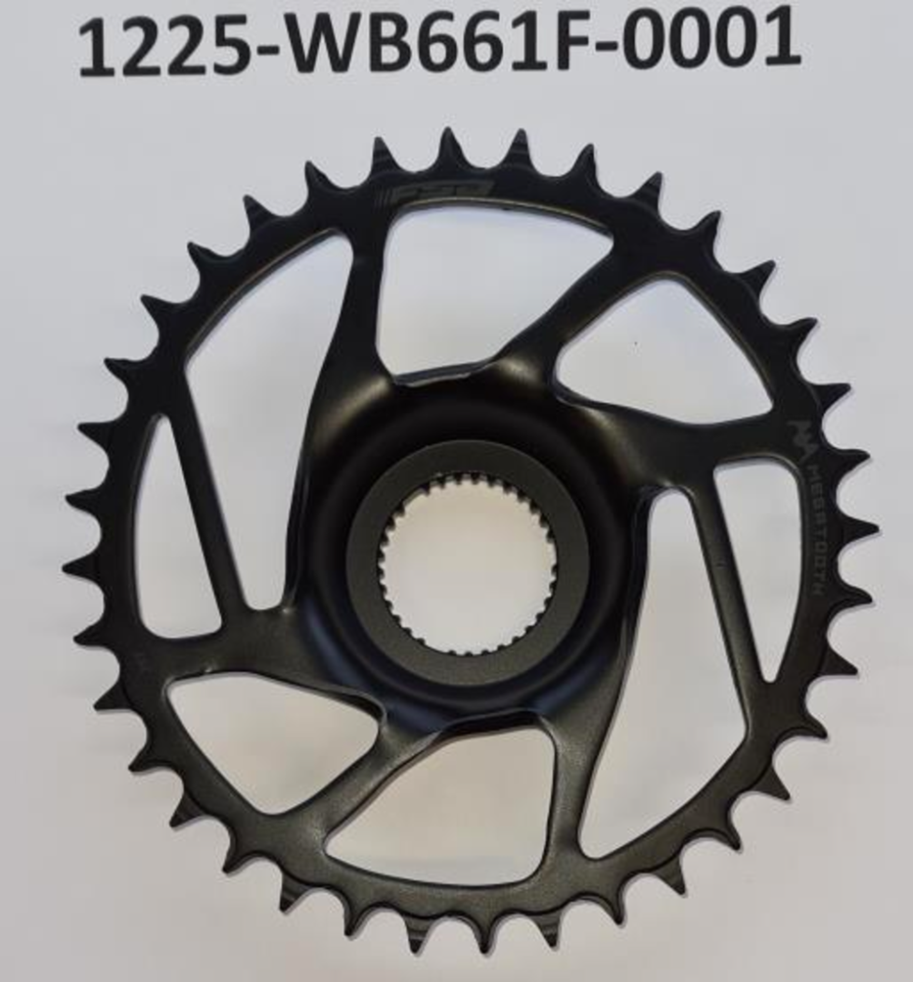 Giant E FSA WB661F 36T PW-X3